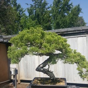 Meet your Posher, Gavin